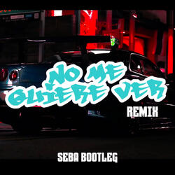 No Me Quiere Ver (Remix)