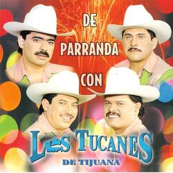 Soy Parrandero