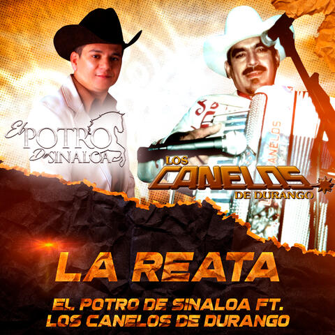 del potro de sinaloa corridos