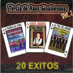 Lejanas Tierras