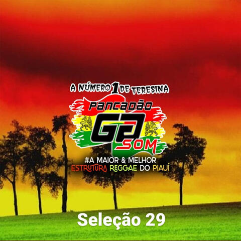 Seleção 29