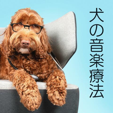 犬の音楽療法: 分離不安解消, 犬が落ち着く音楽, ヒーリング睡眠音楽