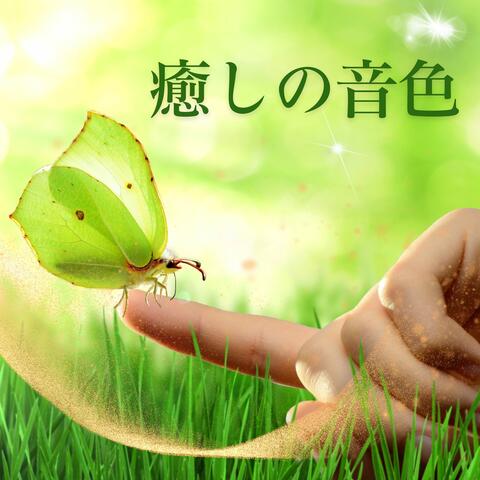 癒しの音色: 自然リラクゼーションスパ, ウェルビーイング環境音