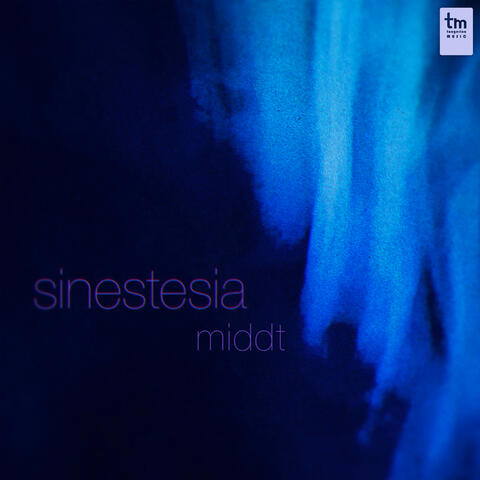 Sinestesia