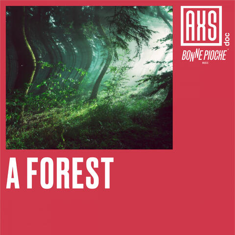 A Forest