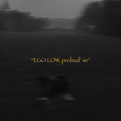 EGO LOW
