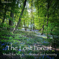 The Calming Nature of Trees