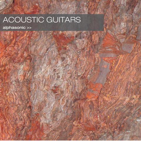 Acoustic Guitars