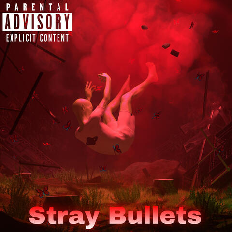 Stray Bullets