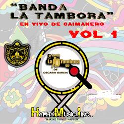 El Sauce y La Palma (En Vivo)