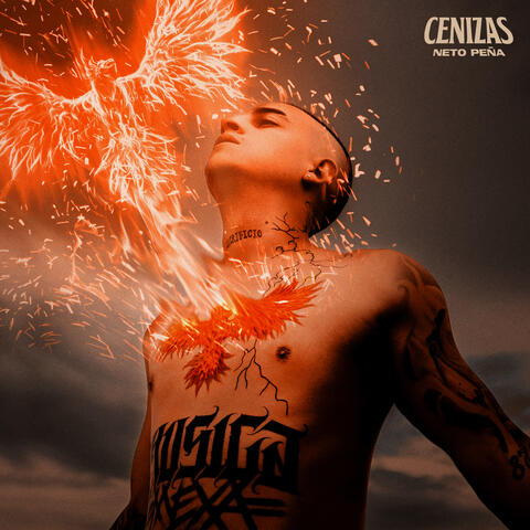 Cenizas