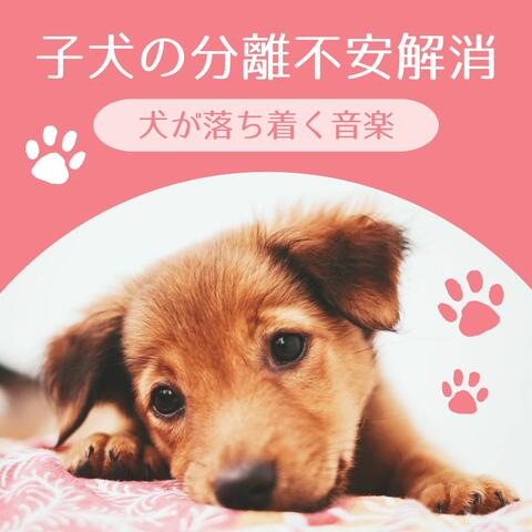 子犬の分離不安解消: 不安減少ヒーリング音楽, 犬が落ち着く癒し音楽, 留守番音楽