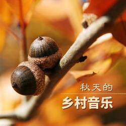 完美的早上