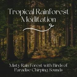 Woodland Sounds