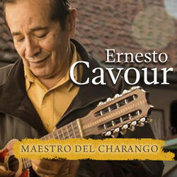 El Quiriquincho Cantor / Paja Brava