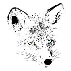 Winter Fox