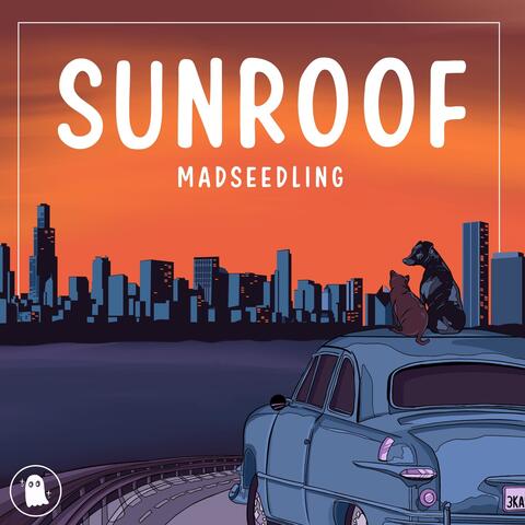 Sunroof