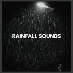 Rainfall Sounds (part twenty-two)