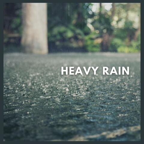 Heavy Rain