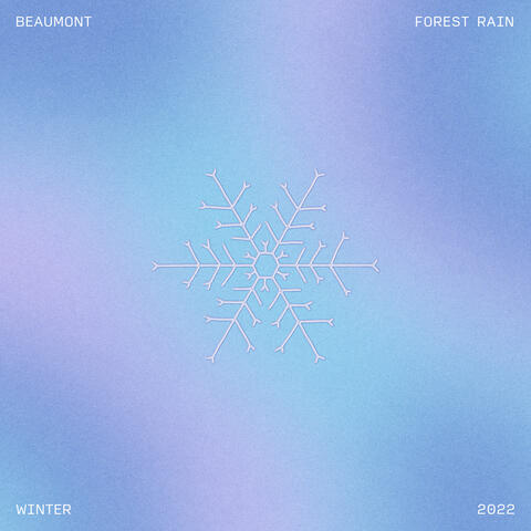 forest rain