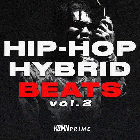 Hip-Hop Hybrid Beats, Vol. 2