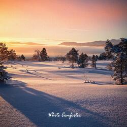 White Comforter
