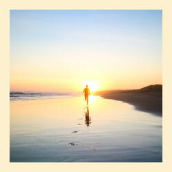Carefree