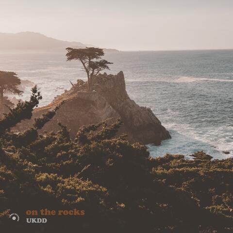 on the rocks