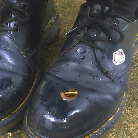 a primavera perdida dos goblins