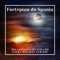 Muzyka do Snu