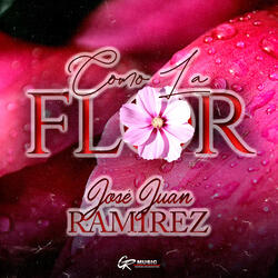 Como La Flor