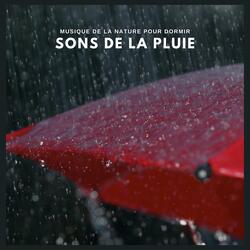 Musique de la nature pour dormir: sons de la pluie (p13)