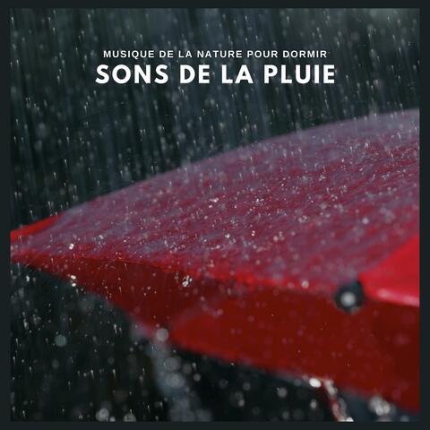 Musique de la nature pour dormir: sons de la pluie