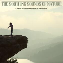 Rejuvenating Serenity