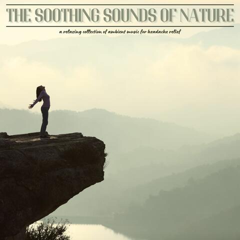 The Soothing Sounds of Nature: A Relaxing Collection of Ambient Music for Headache Relief
