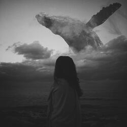 Long Whale Song (Slowed + Reverb)