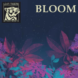 Bloom