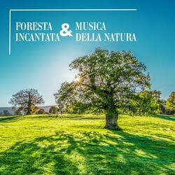 Cuore della foresta