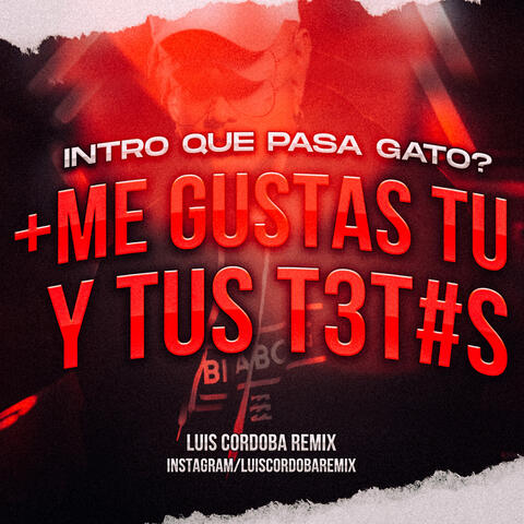 Intro Que Te Pasa Gato + Me Gustas Tu Y Tus Tet#s