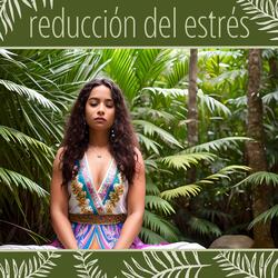 Meditar Ayuda