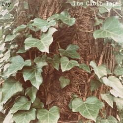 Ivy