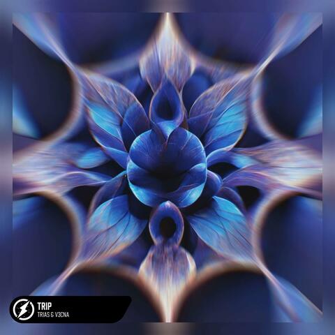 Trip