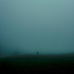 the beauty of loneliness