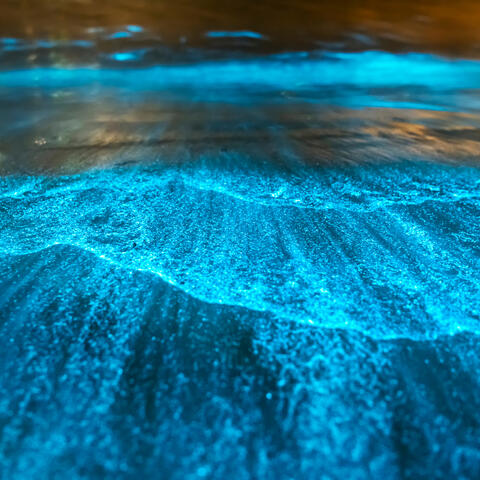 Sea of Stars