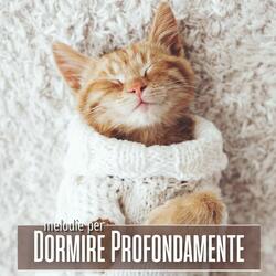 Dormi e vola via