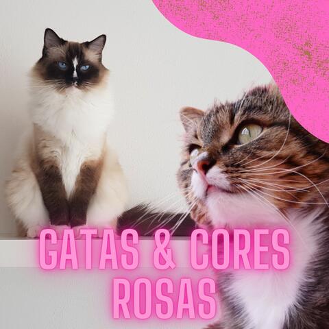 Gatas & Cores Rosas 2