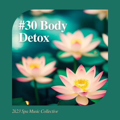 Body Detox: 2k23 Spa Music Collective, Vol. 30