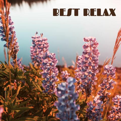 Best Relax: Soothing Sounds to Relax, Meditate and Unwind