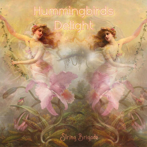 Hummingbirds Delight