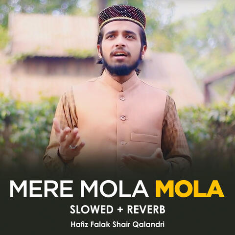 Mere Mola Mola Lofi